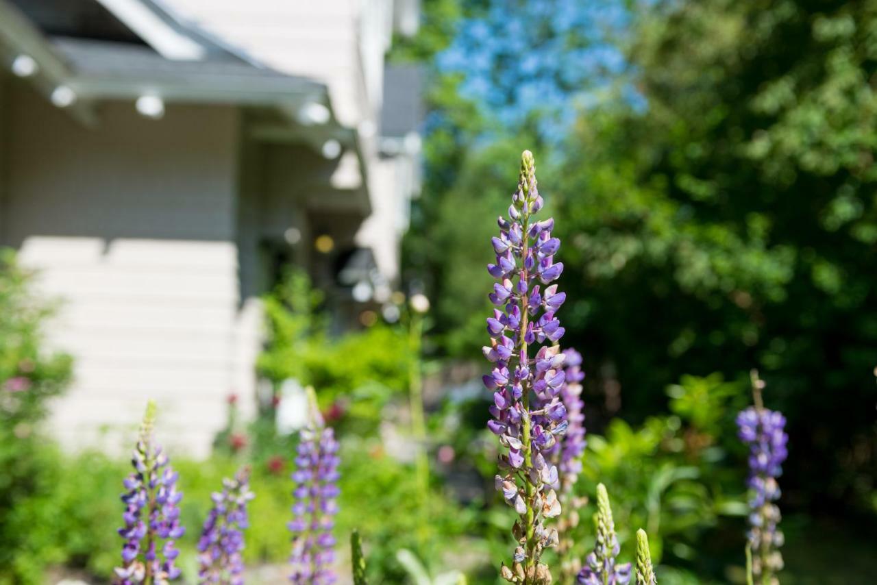 Chiltern Inn Bar Harbor Zewnętrze zdjęcie